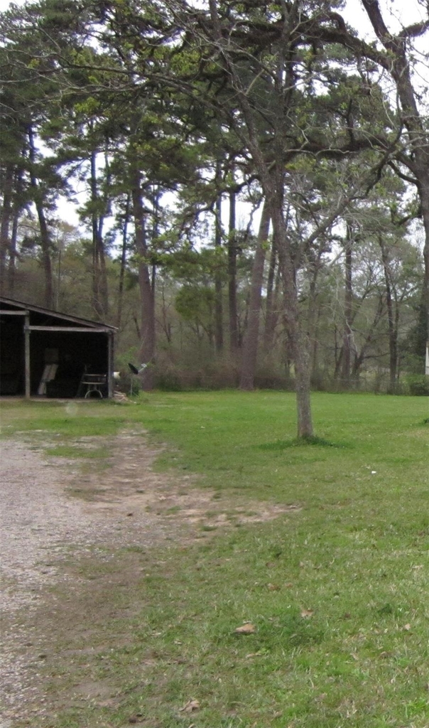 4018 E Mossy Oaks Road - Photo 5