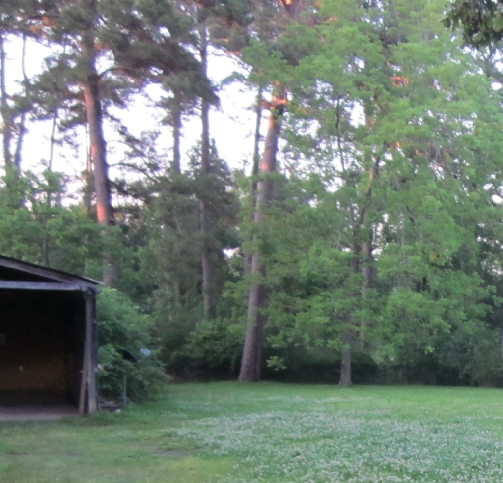 4018 E Mossy Oaks Road - Photo 8