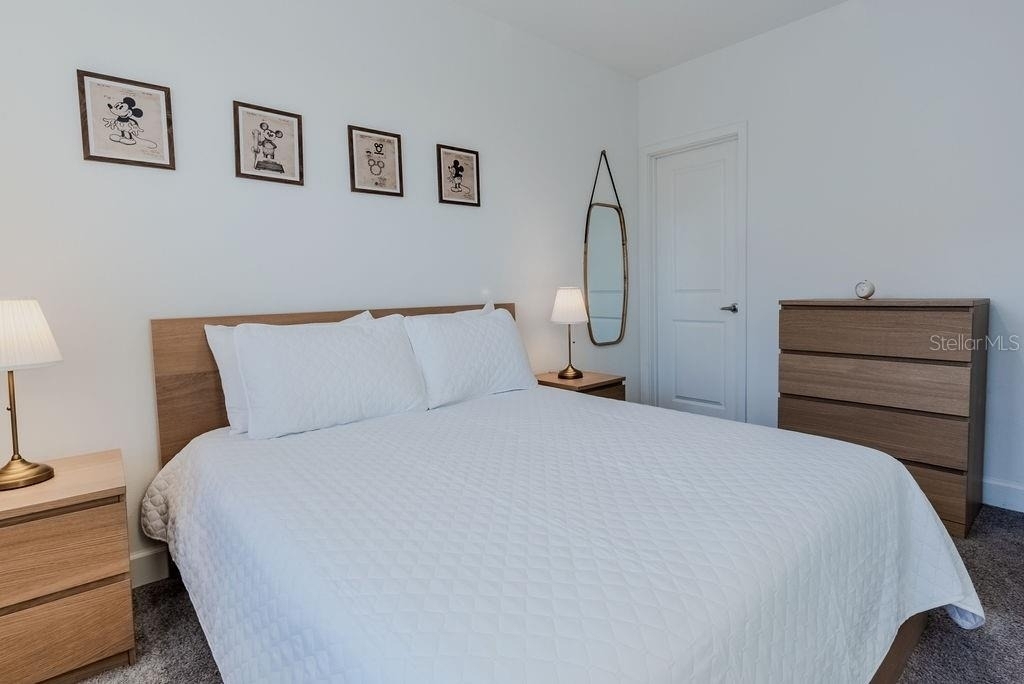 4742 Terra Esmeralda Drive - Photo 24