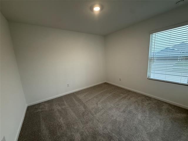 835 Ginkgo Way - Photo 9