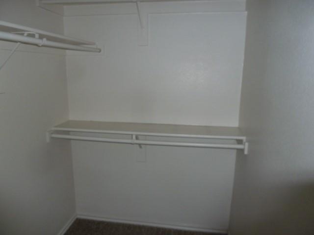 2741 Lynx Lane - Photo 20