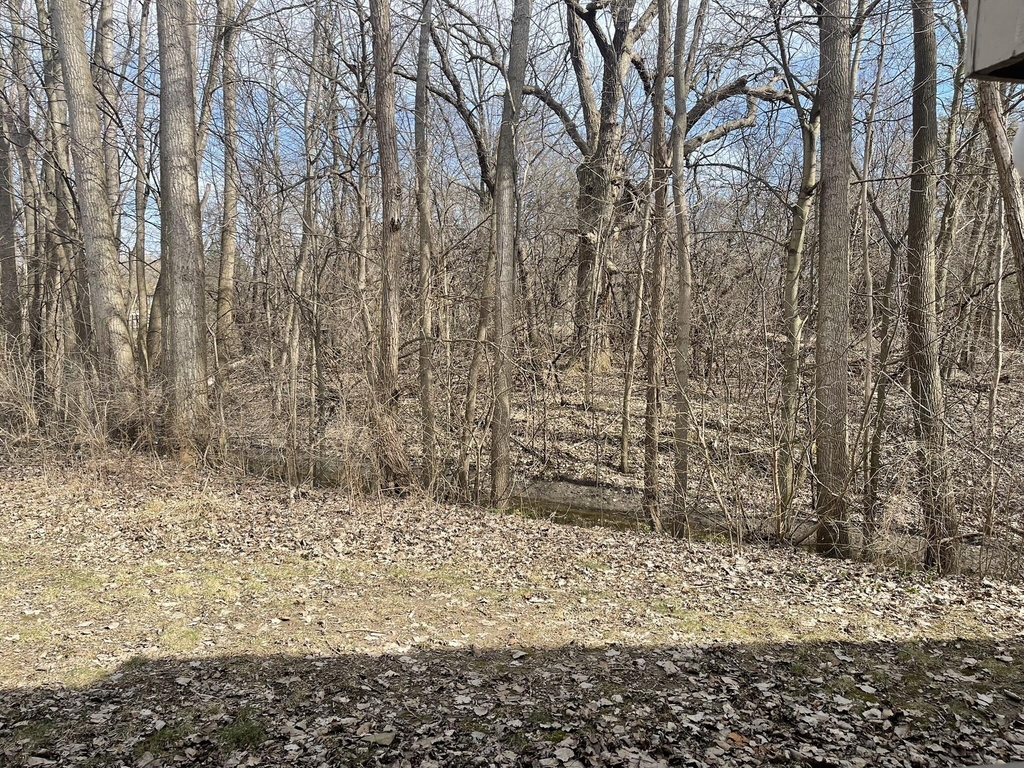 3005 Fernwood Avenue - Photo 24