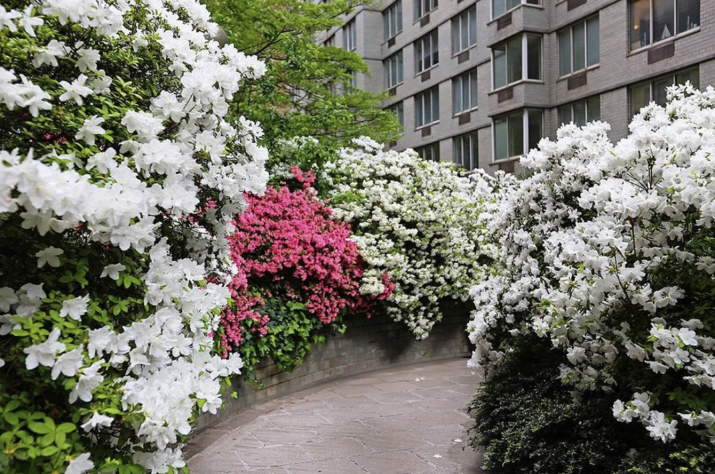 333 East 56th Street, Unit 10o - Photo 4
