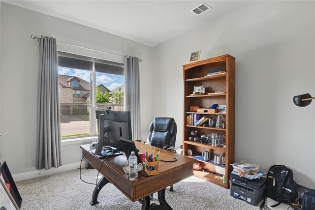 1164 Red Hawk Lane - Photo 19
