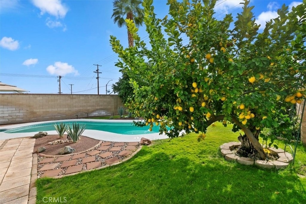 78481 Calle Felipe - Photo 34