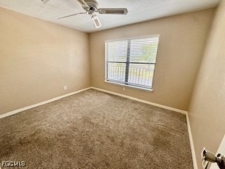 16805 Davis Road - Photo 9