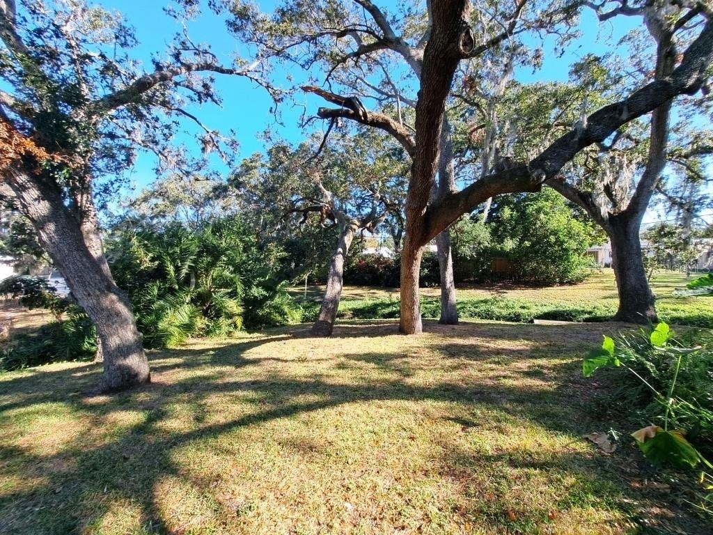 2005 Greenbriar Boulevard - Photo 12