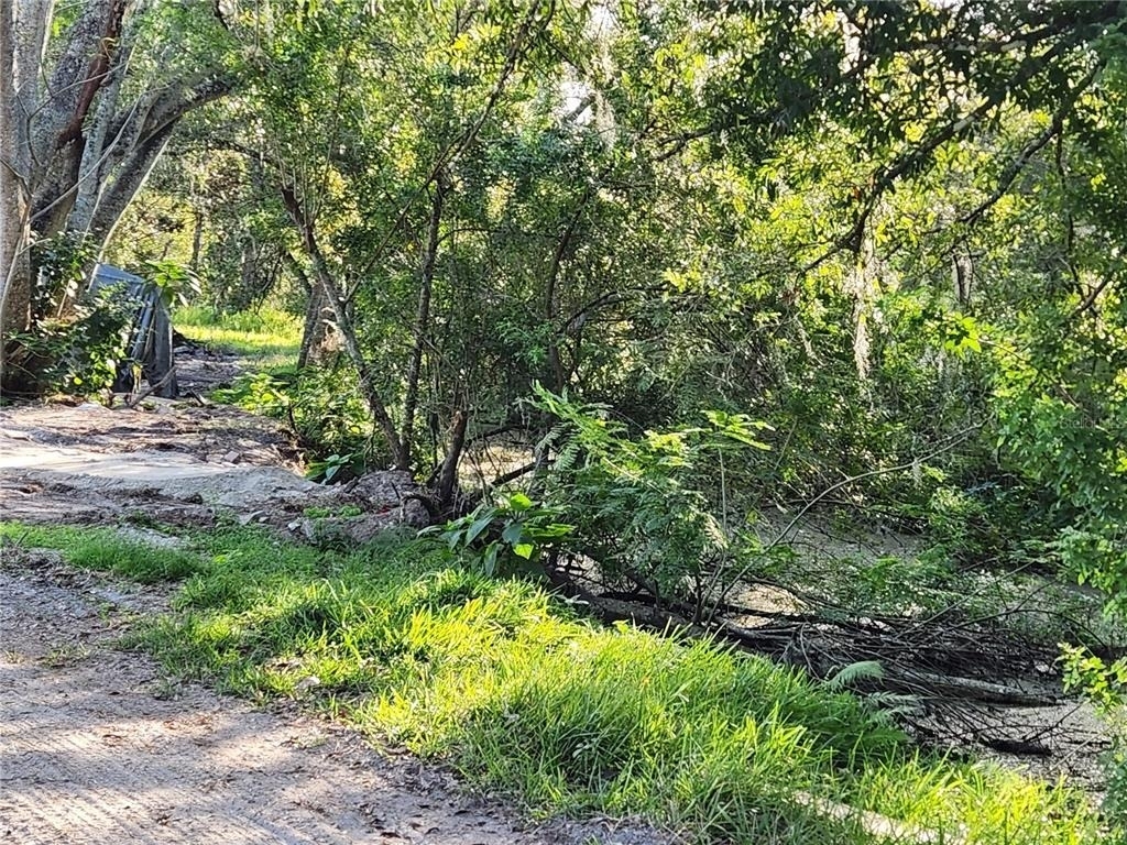 2608 20 Mile Level Road - Photo 4