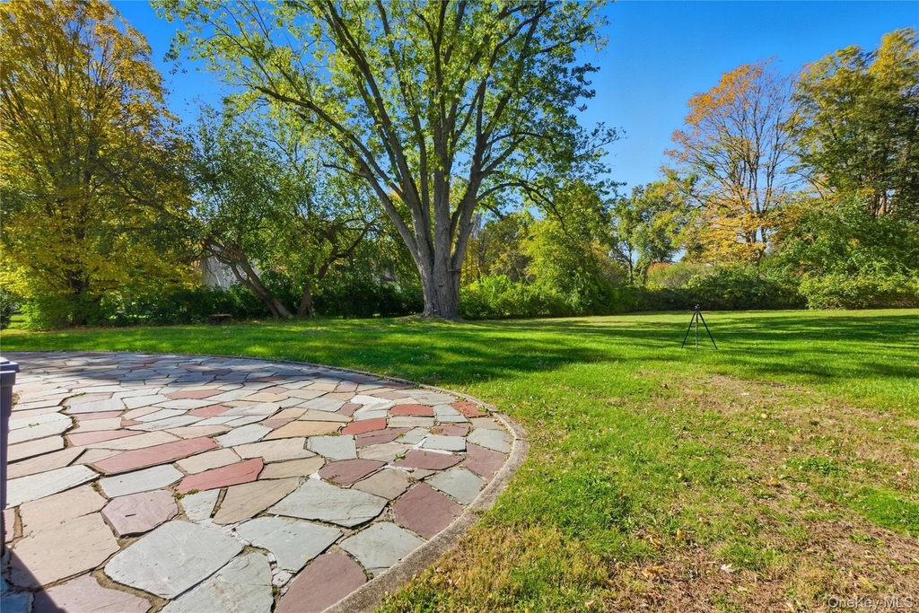39 Cox Avenue - Photo 3