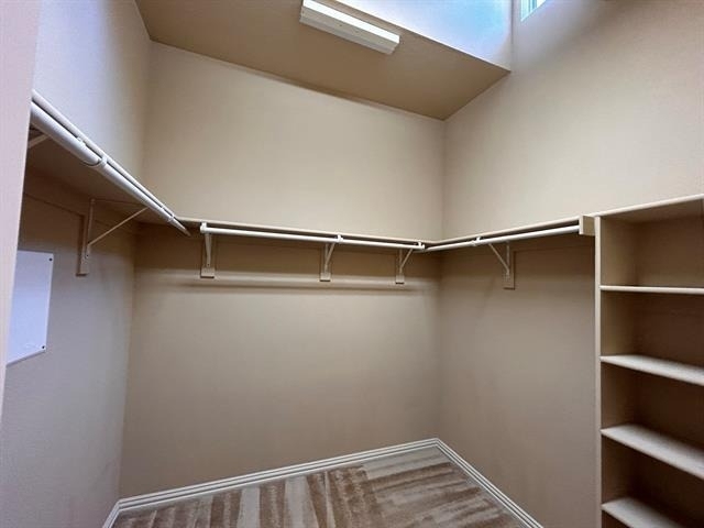 6794 Calm Meadow Drive - Photo 20