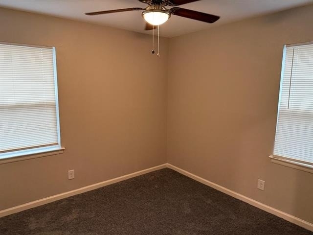 925 Bluewood Drive - Photo 8