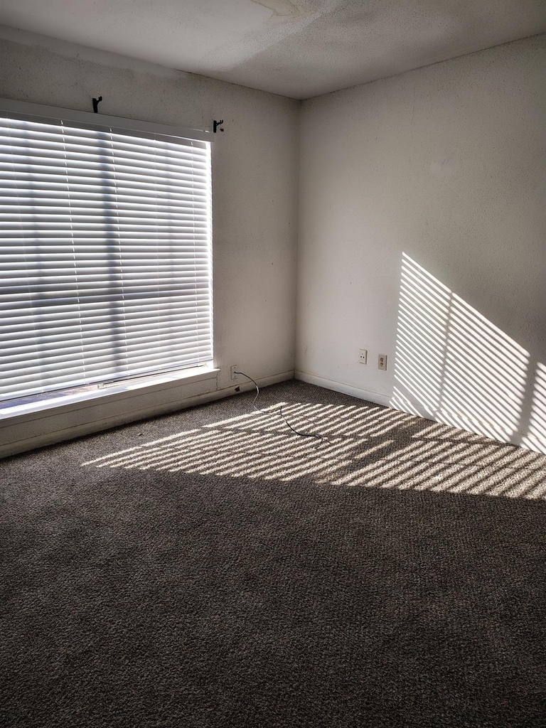 5625 Antoine Drive - Photo 5
