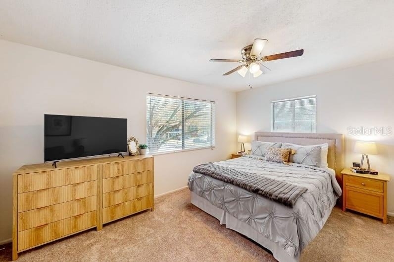 2900 Lichen Lane - Photo 17
