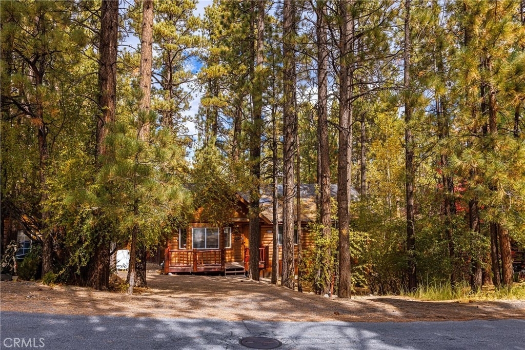 517 Sugarloaf - Photo 14