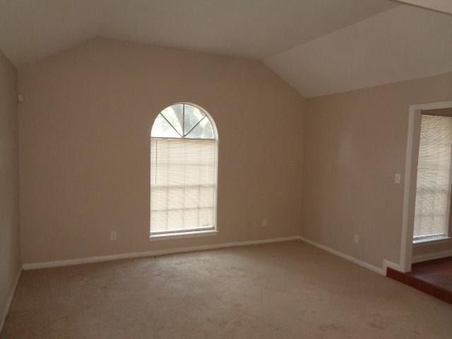 12607 Big Stone Drive - Photo 16