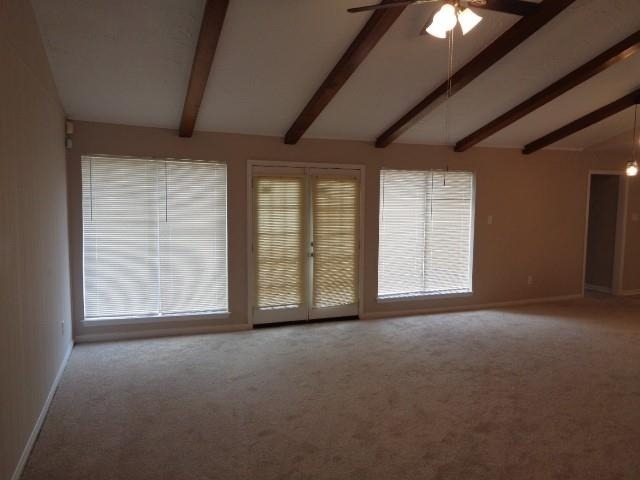 12607 Big Stone Drive - Photo 6