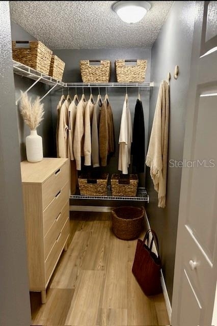 4150 Portillo Road - Photo 25