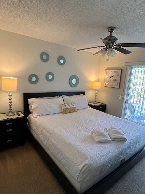 8405 Crystal Cove Loop - Photo 3