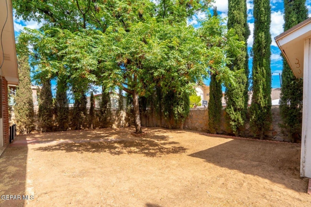 12521 Angie Bombach Avenue - Photo 22