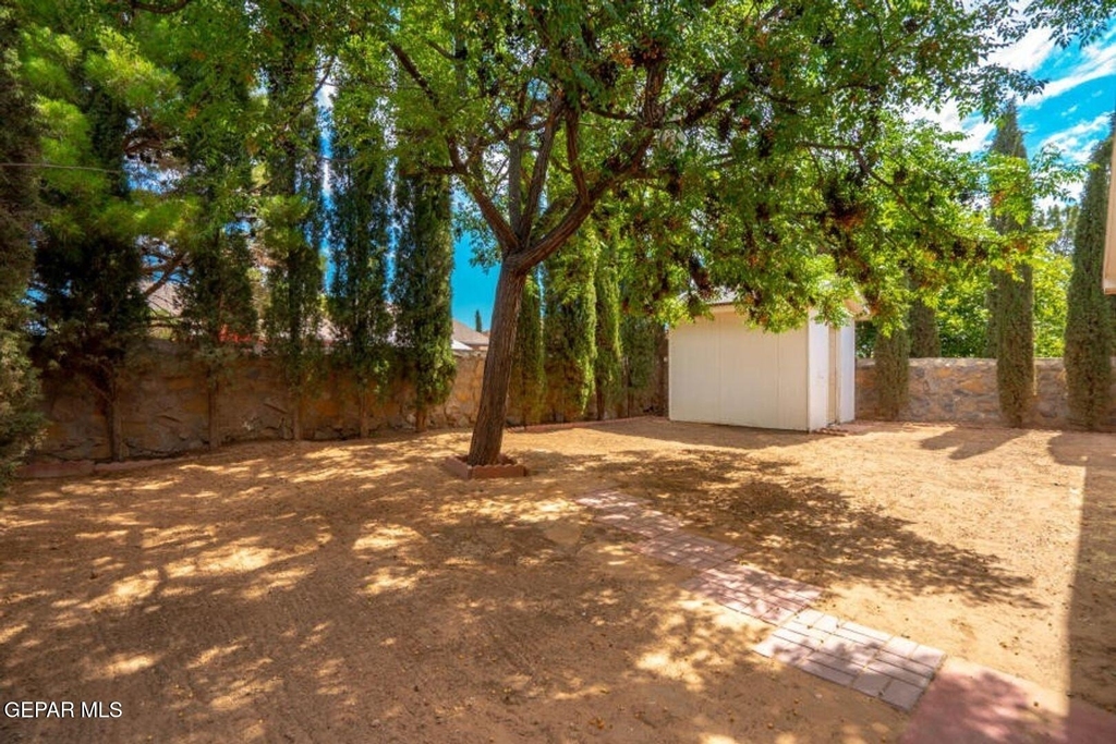 12521 Angie Bombach Avenue - Photo 23
