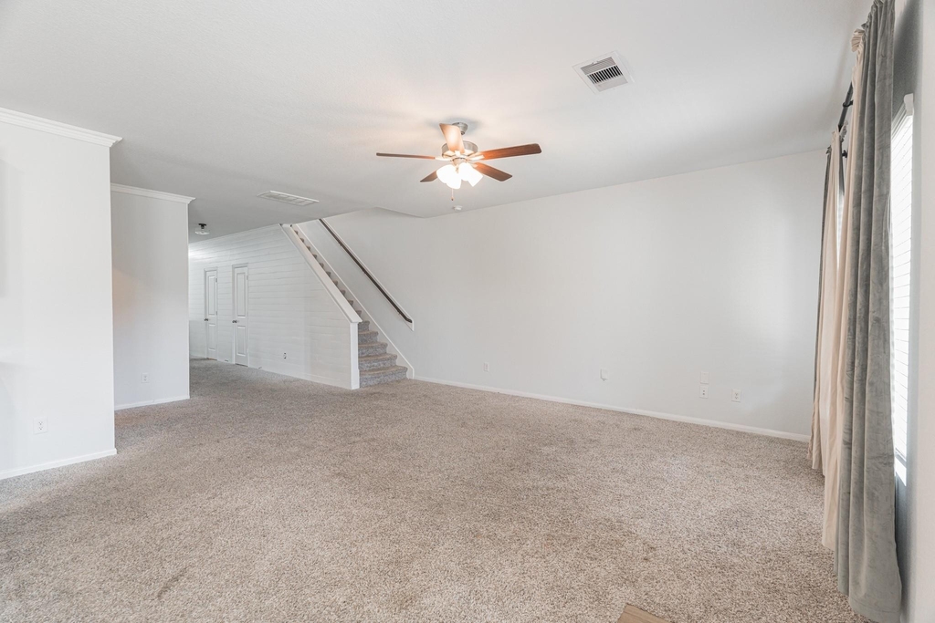 1123 Magnolia Branch Lane - Photo 11