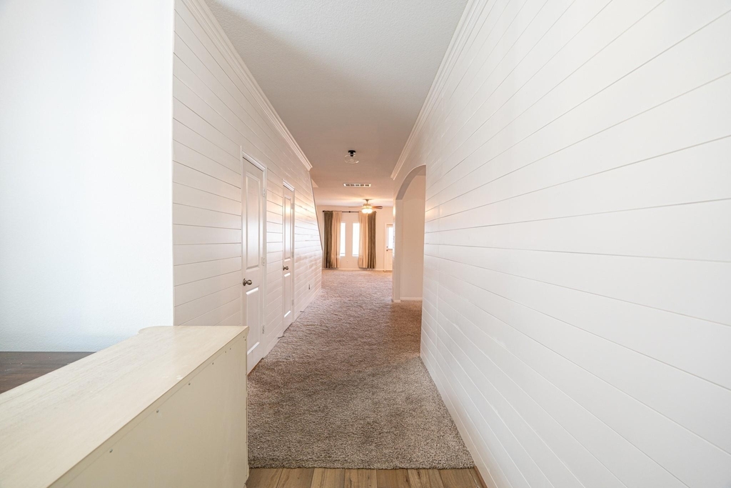 1123 Magnolia Branch Lane - Photo 3
