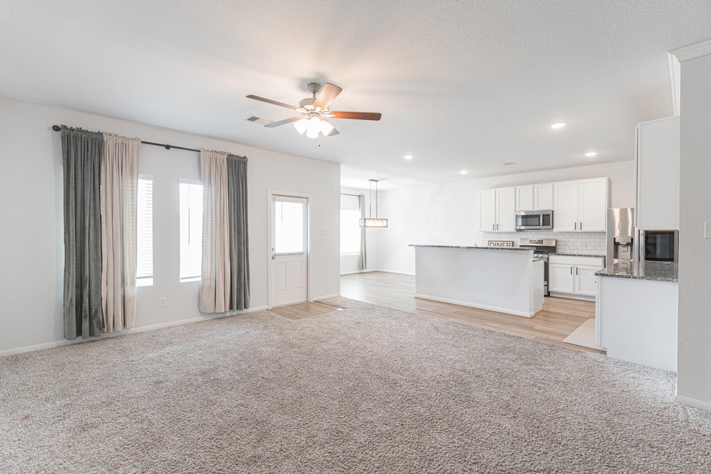 1123 Magnolia Branch Lane - Photo 8