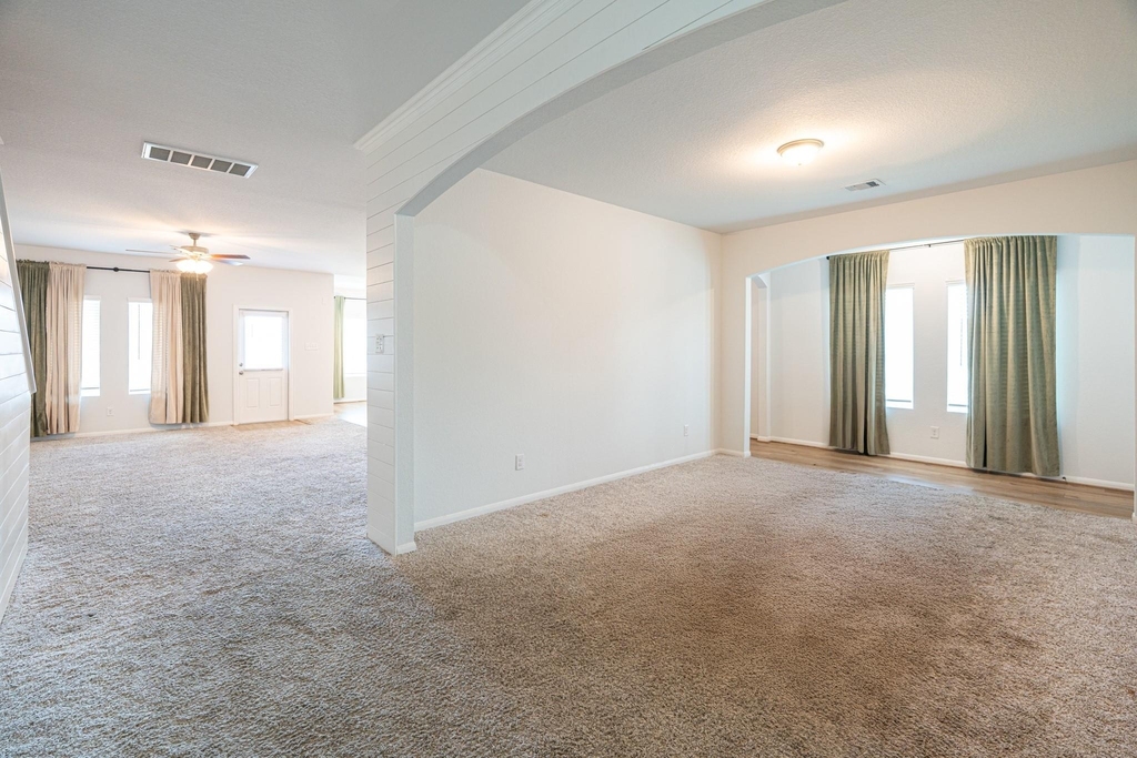 1123 Magnolia Branch Lane - Photo 4