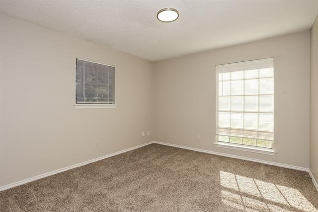 4026 Cedar Creek Drive - Photo 13