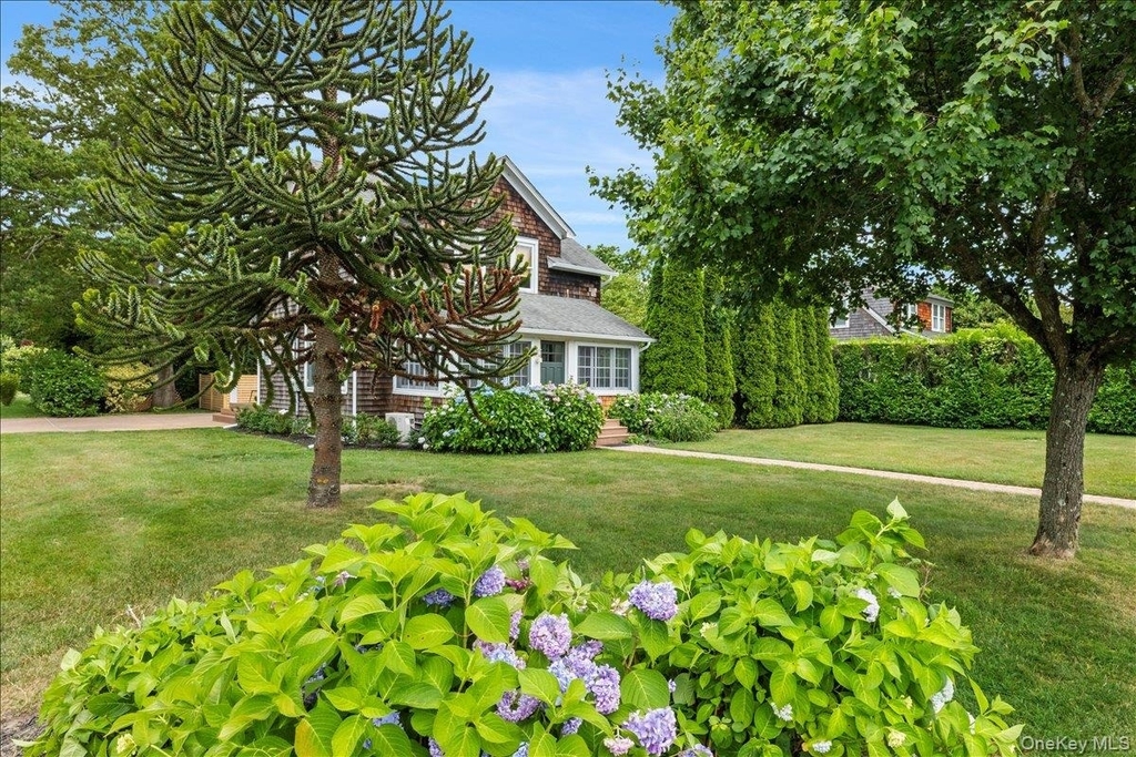 19 New Jersey Avenue - Photo 4