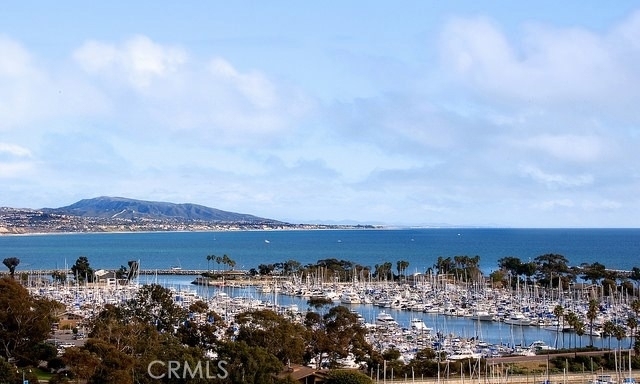 23711 Colima Bay - Photo 39