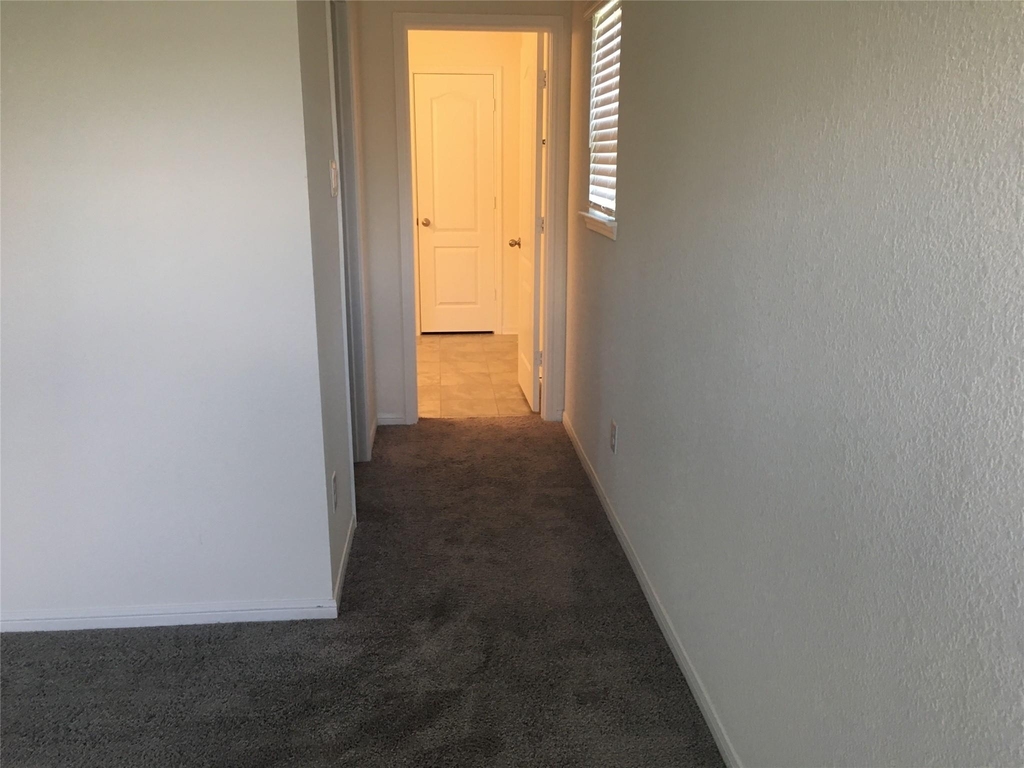 10429 Sherwin Pass Drive - Photo 7