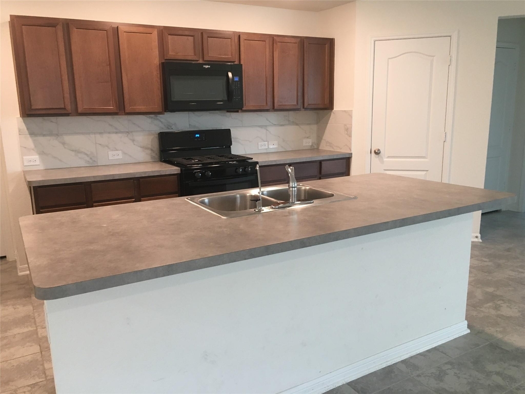 10429 Sherwin Pass Drive - Photo 3