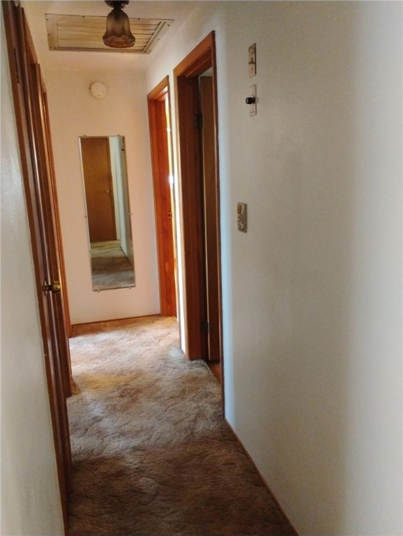 227 Parklane Dr - Photo 7