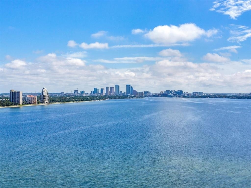 3507 Bayshore Boulevard - Photo 30