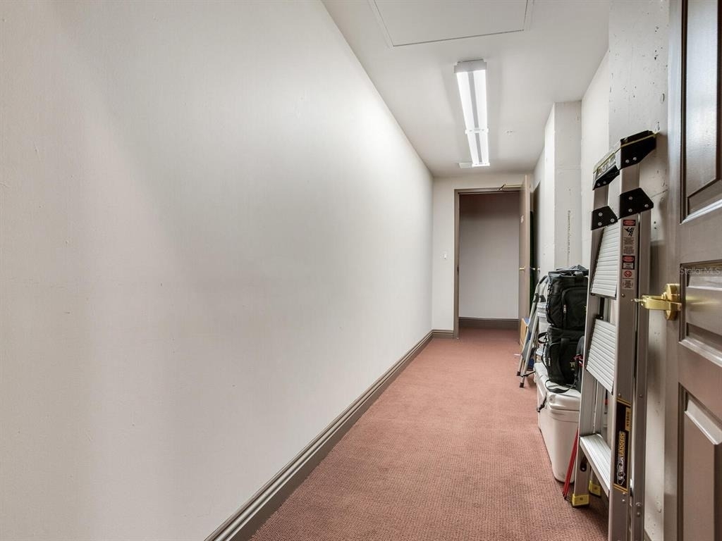 3507 Bayshore Boulevard - Photo 55