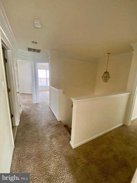 108 Davidson Street - Photo 22