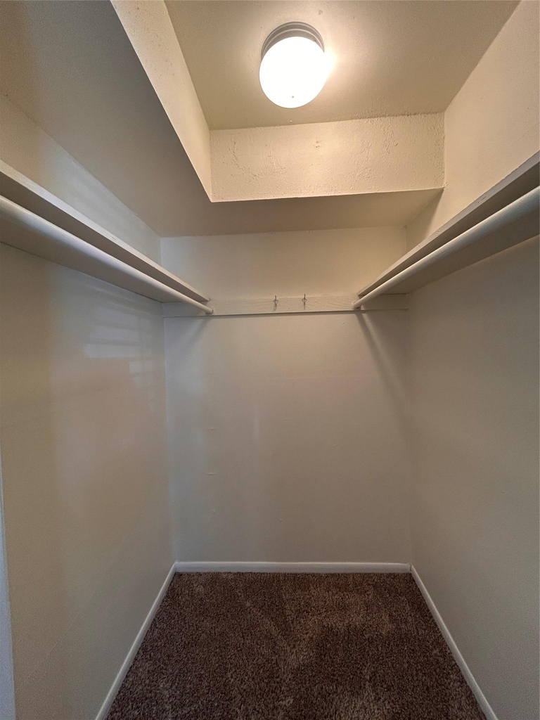2207 Leon St - Photo 6
