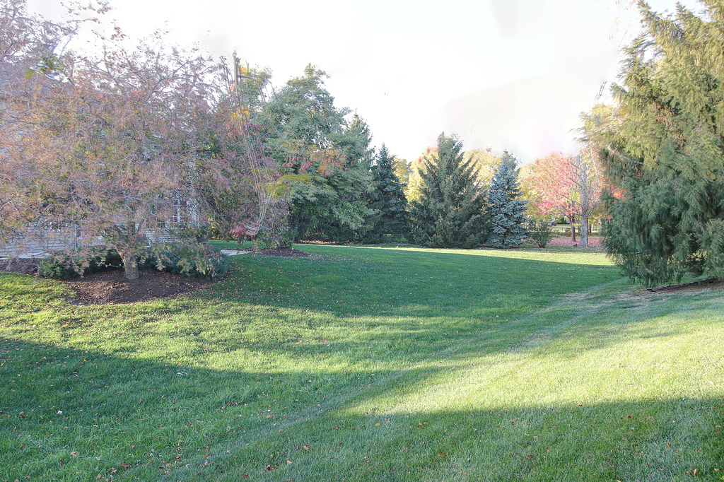 26025 Whispering Woods Circle - Photo 41