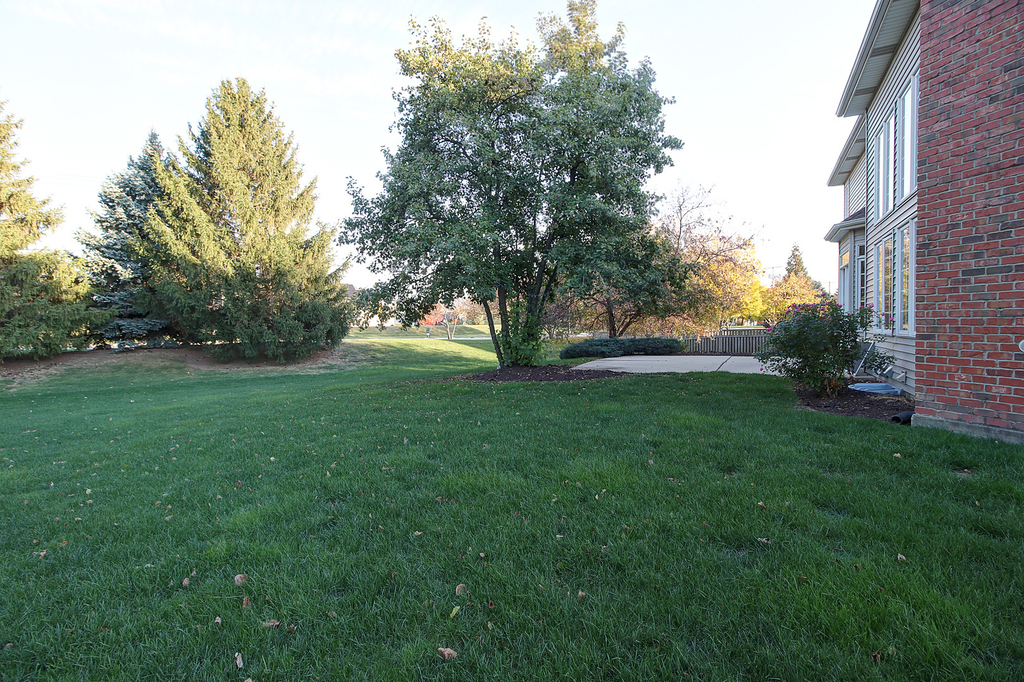 26025 Whispering Woods Circle - Photo 38