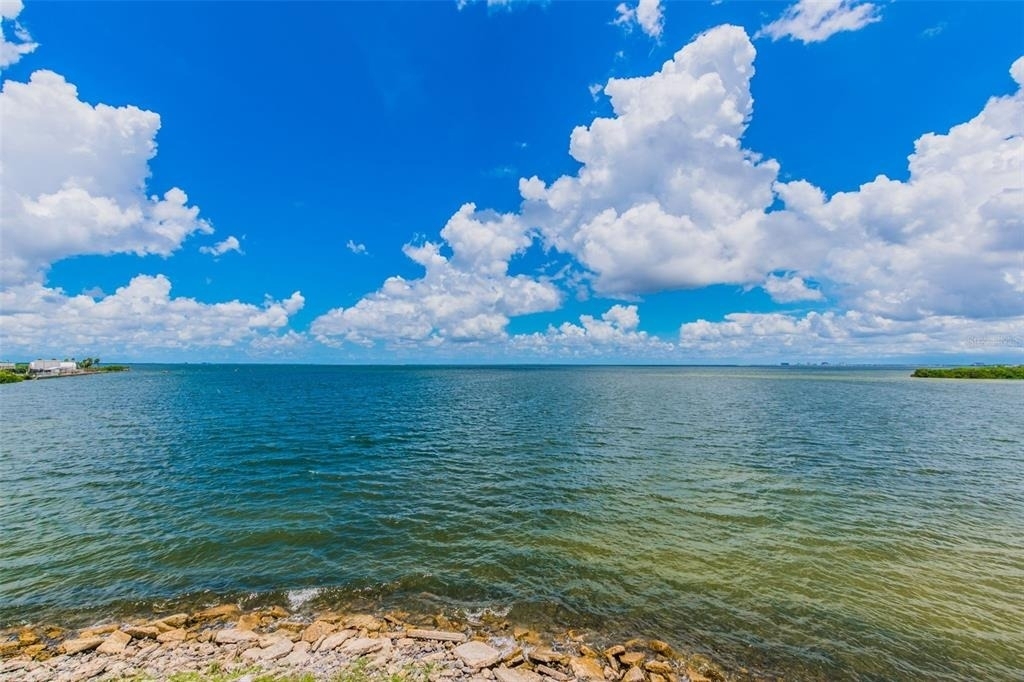 5000 Culbreath Key Way - Photo 49
