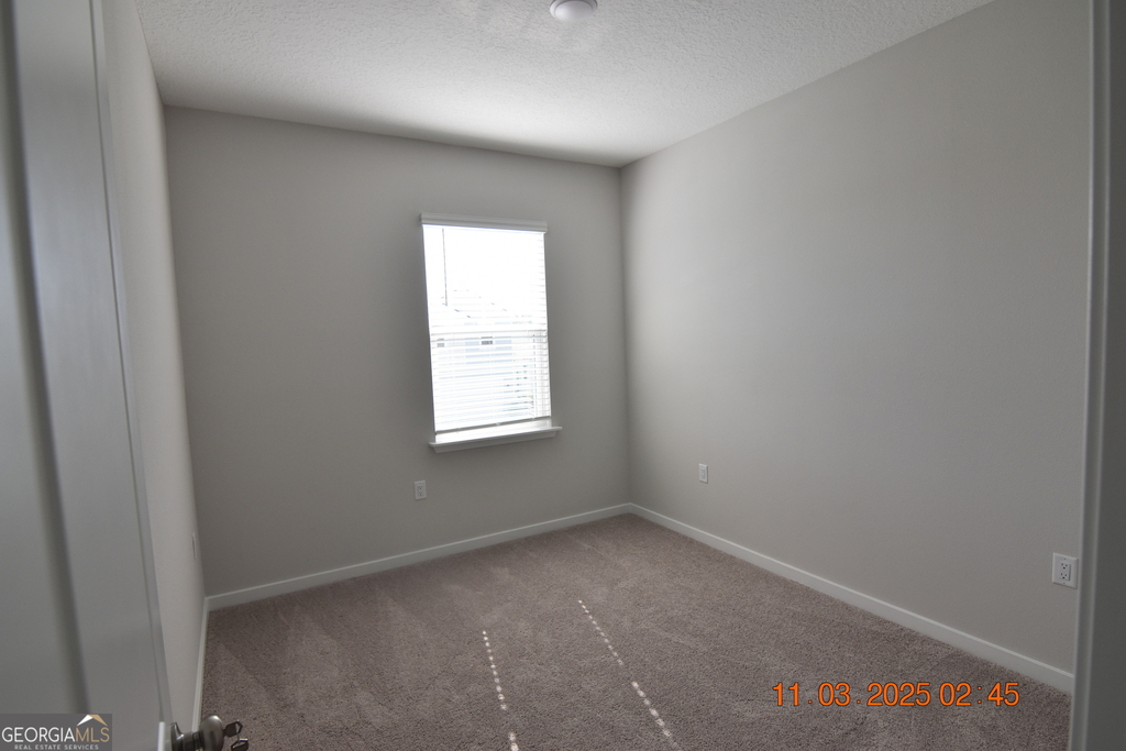 213 Collin Nicholas Drive - Photo 12