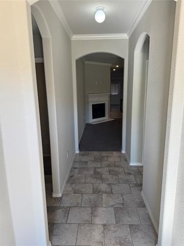 5856 Bindweed Street - Photo 1