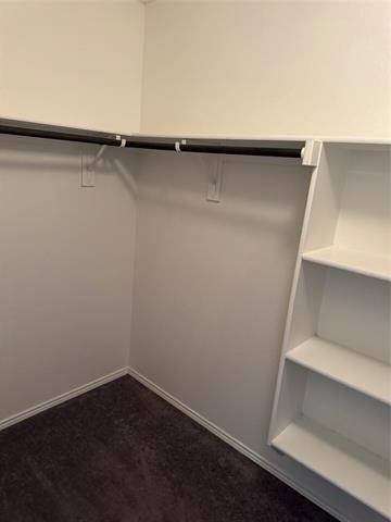 5856 Bindweed Street - Photo 14
