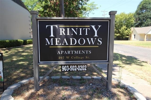 207 W College Street - Photo 1