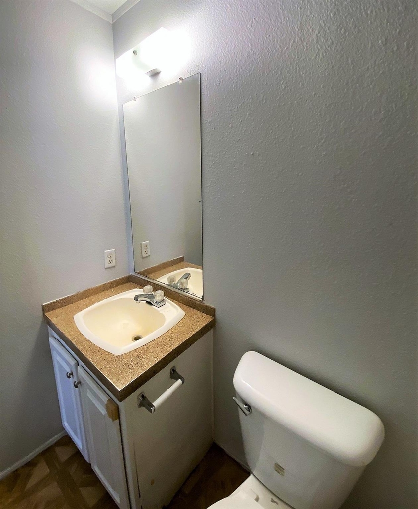 11734 Greensbrook Forest Drive - Photo 4