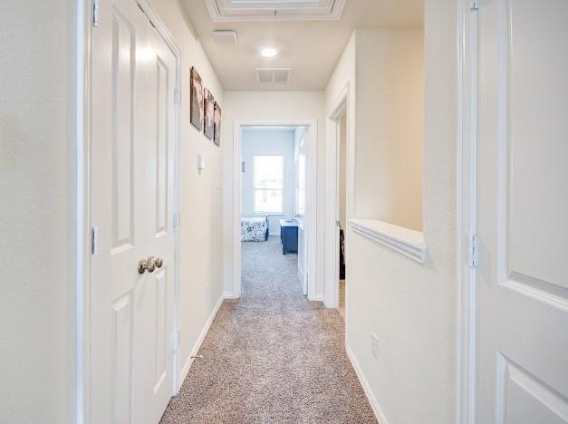 1646 Ryon Falls Drive - Photo 32