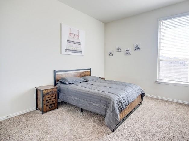 1646 Ryon Falls Drive - Photo 23