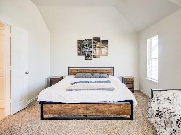 1646 Ryon Falls Drive - Photo 38