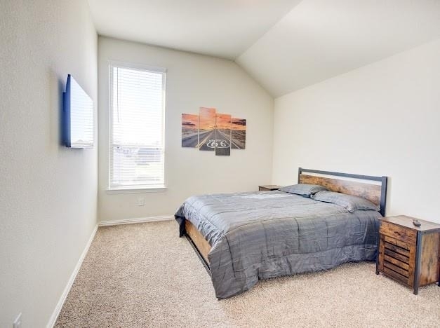 1646 Ryon Falls Drive - Photo 43